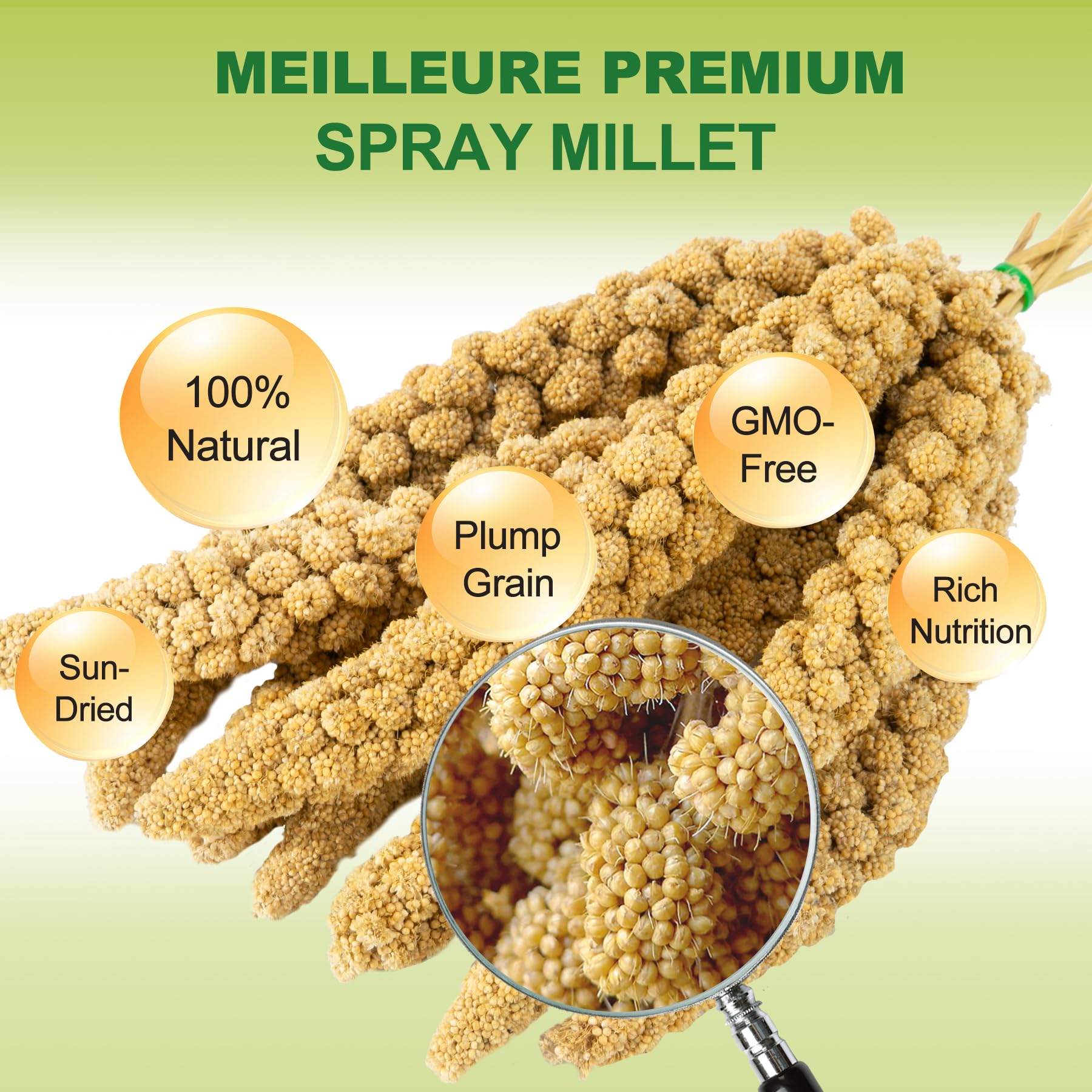 Meilleure spray millet in cage demonstrates an easy snack for birds.