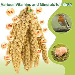 Meilleure spray millet on cage bottom encourages foraging play.