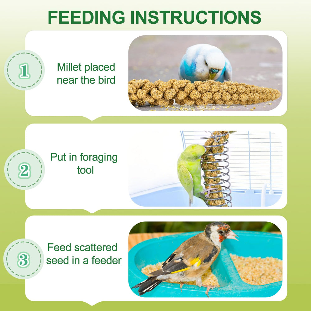 Meilleure spray millet sun-dried bulk package suggests long-lasting natural snack.