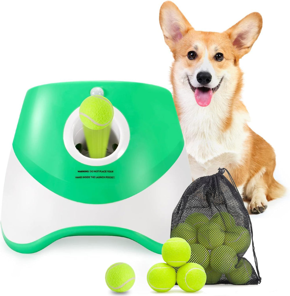 MEKAPLE automatic dog ball launcher front view for compact setup