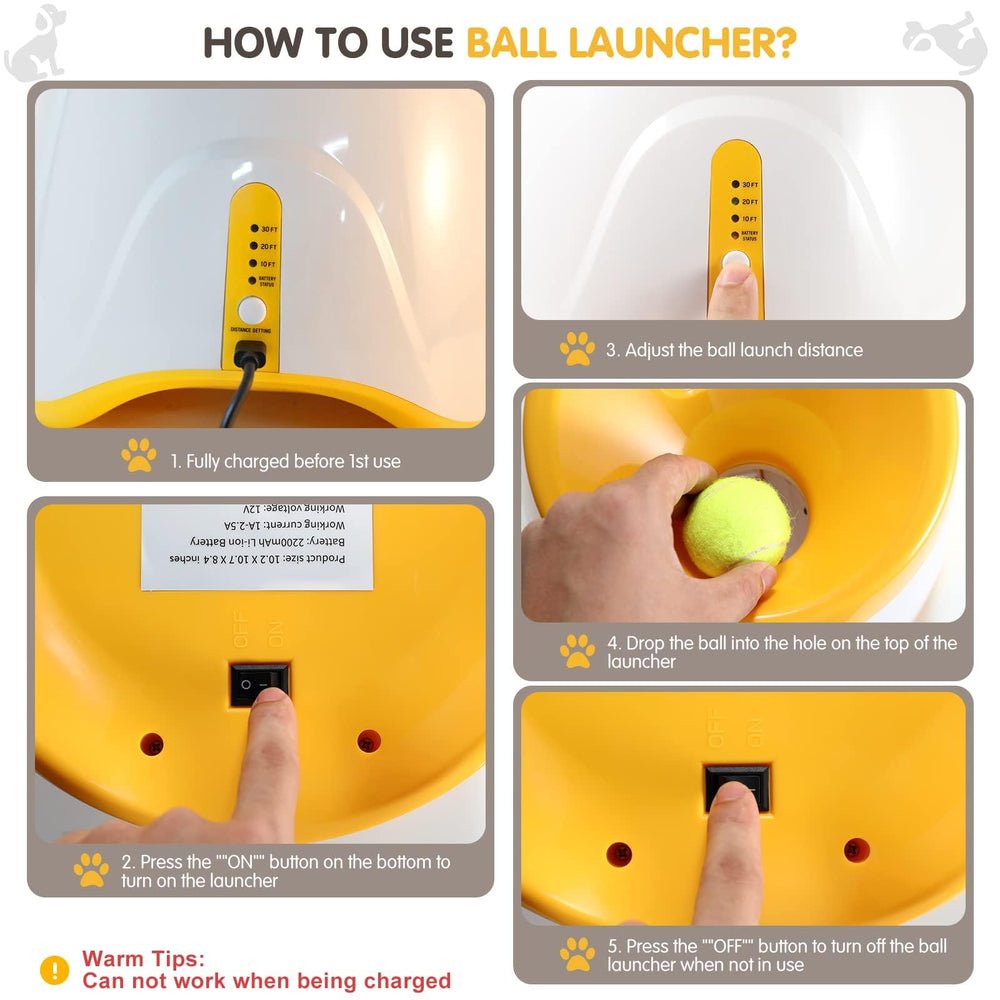 MEKAPLE dog catching ball in play highlights interactive fetch and training.
