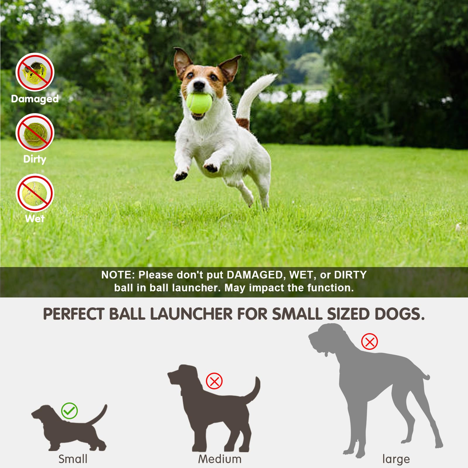 Mekaple indoor-outdoor play area demonstrates versatile use for small dogs.