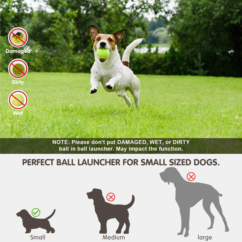 Mekaple indoor-outdoor play area demonstrates versatile use for small dogs.