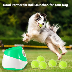 MEKAPLE mini tennis ball bounce action supports energetic chase sessions.
