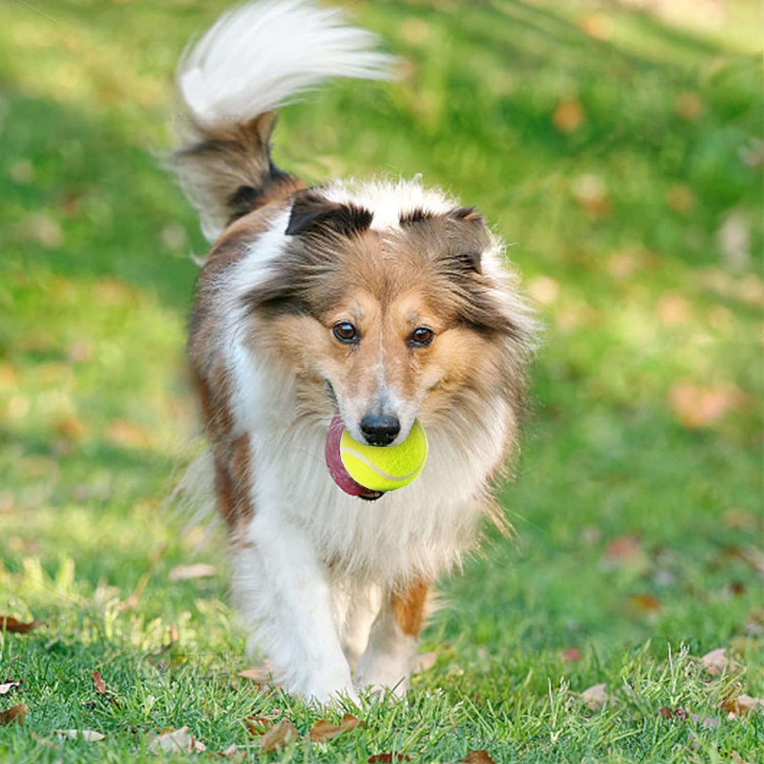 MEKAPLE mini tennis ball for indoor and outdoor use with small to medium dogs.