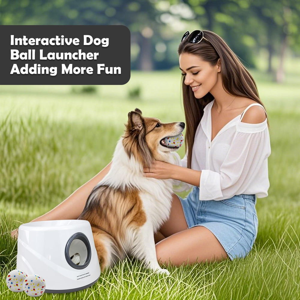 MEKAPLE compact design suited for small dogs and apartments.