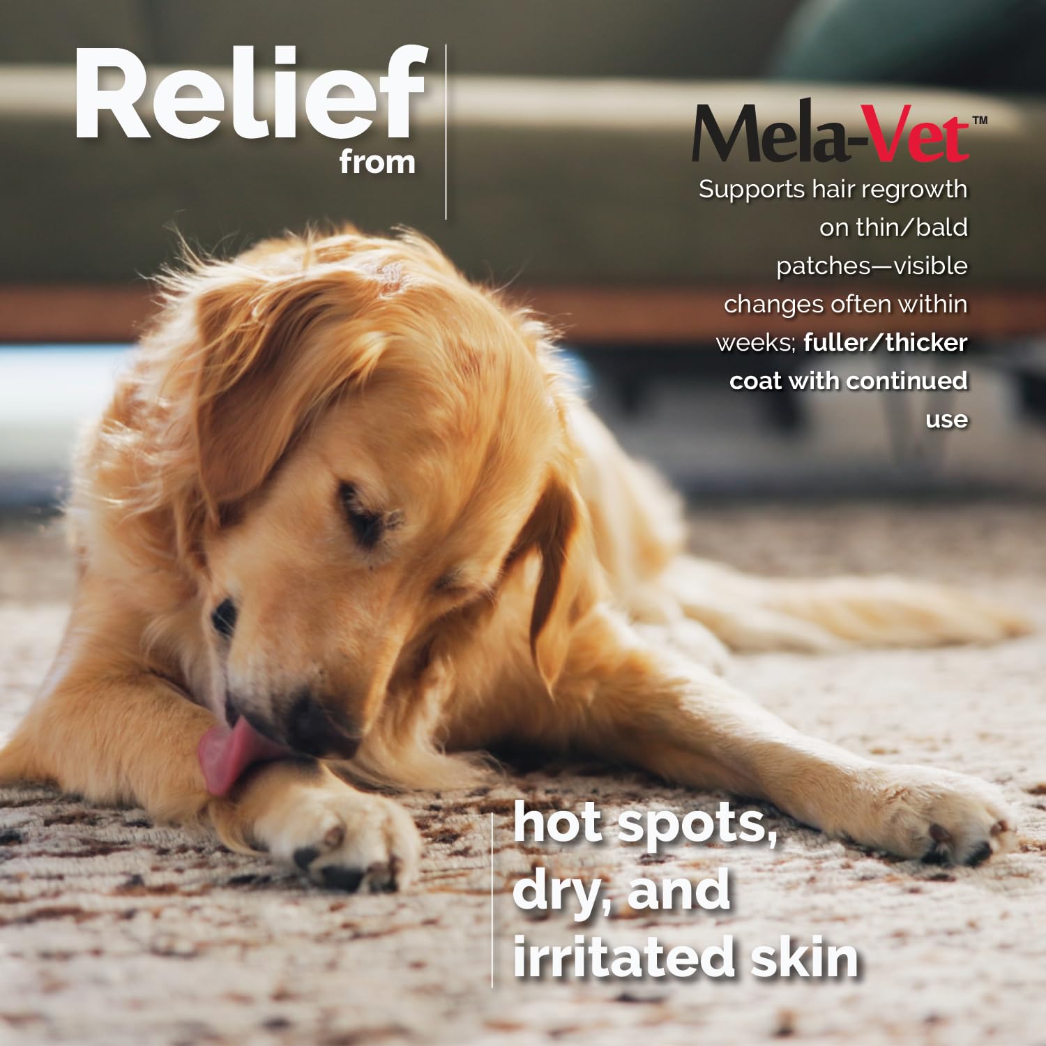 Mela-Vet chamomile relaxation ingredient image shows natural calming support for everyday anxiety.