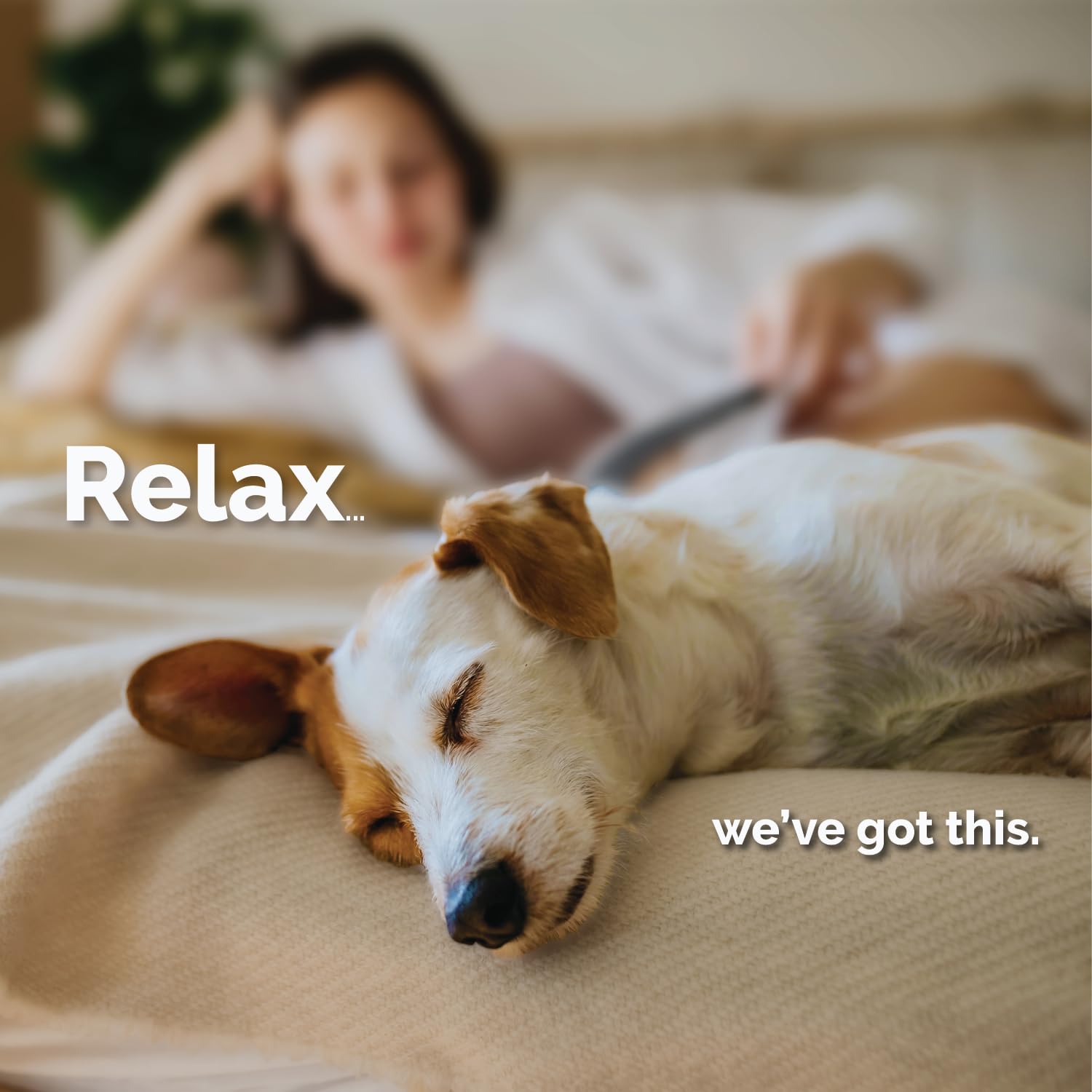 Mela-Vet ginger-root travel digestive-support image illustrates motion comfort and nausea relief.