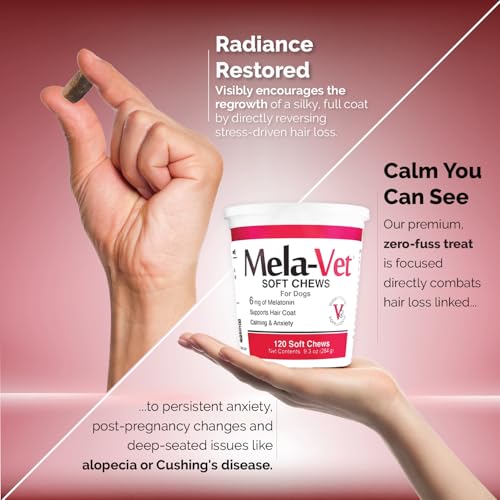 Mela-Vet melatonin soft chews bottle showcases convenient daily use for ongoing mood support.