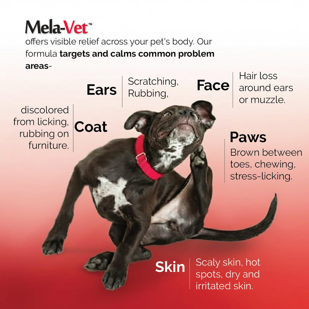 Mela-Vet thiamine vitamin-b1 balance image emphasizes nervous system support.