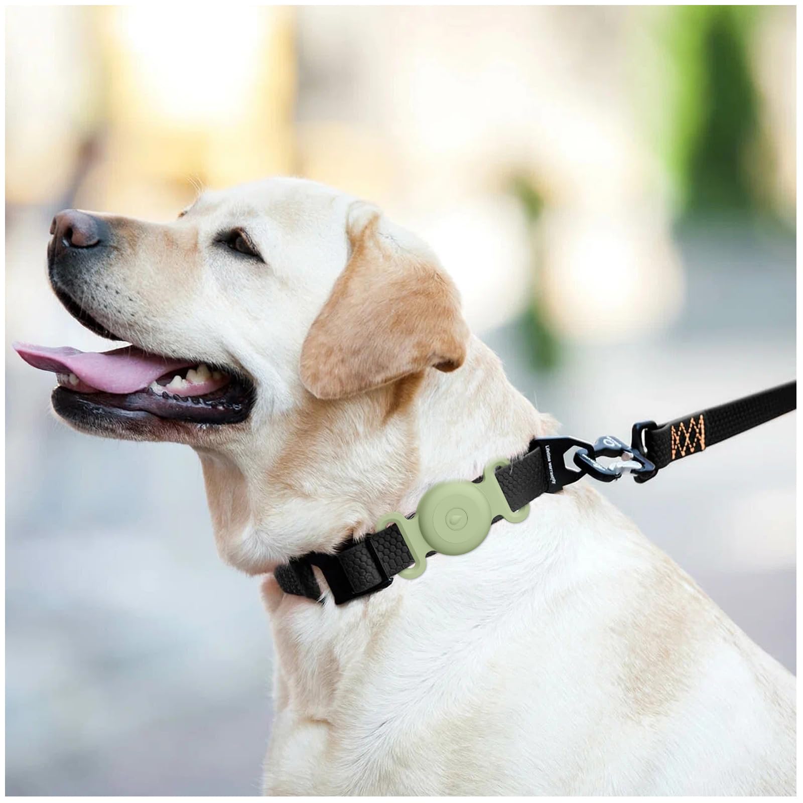 Installation is quick and easy to attach onto collars.