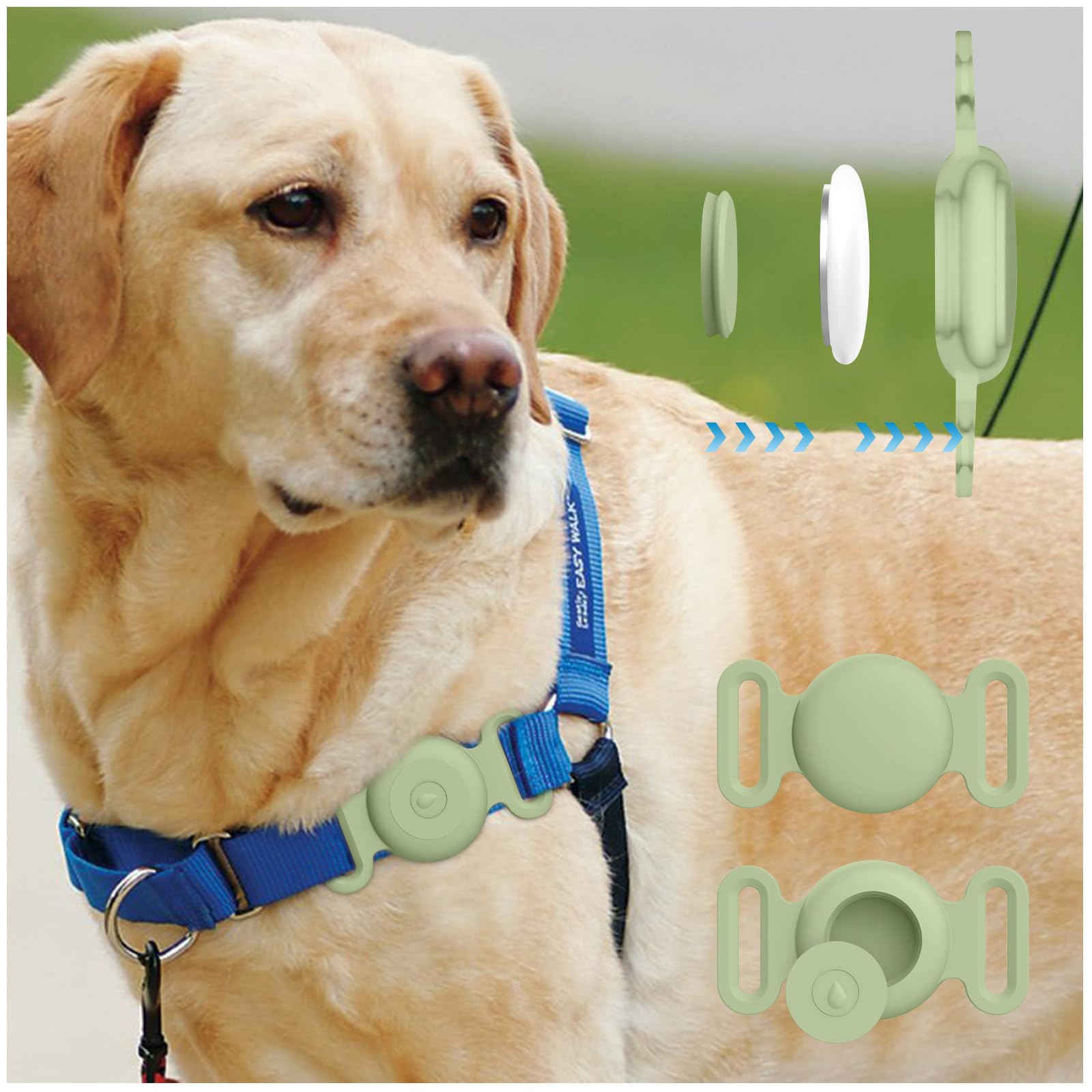 Matcha color Airtag holder adds fashionable pet accessory.