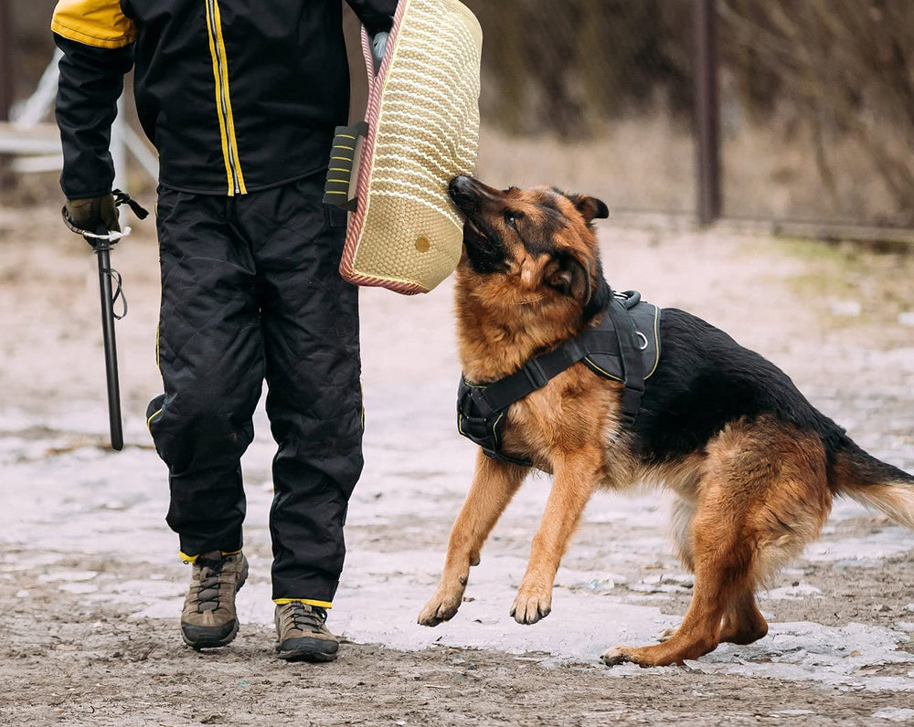 MelkTemn puppy-friendly training image highlights safe early bite practice.