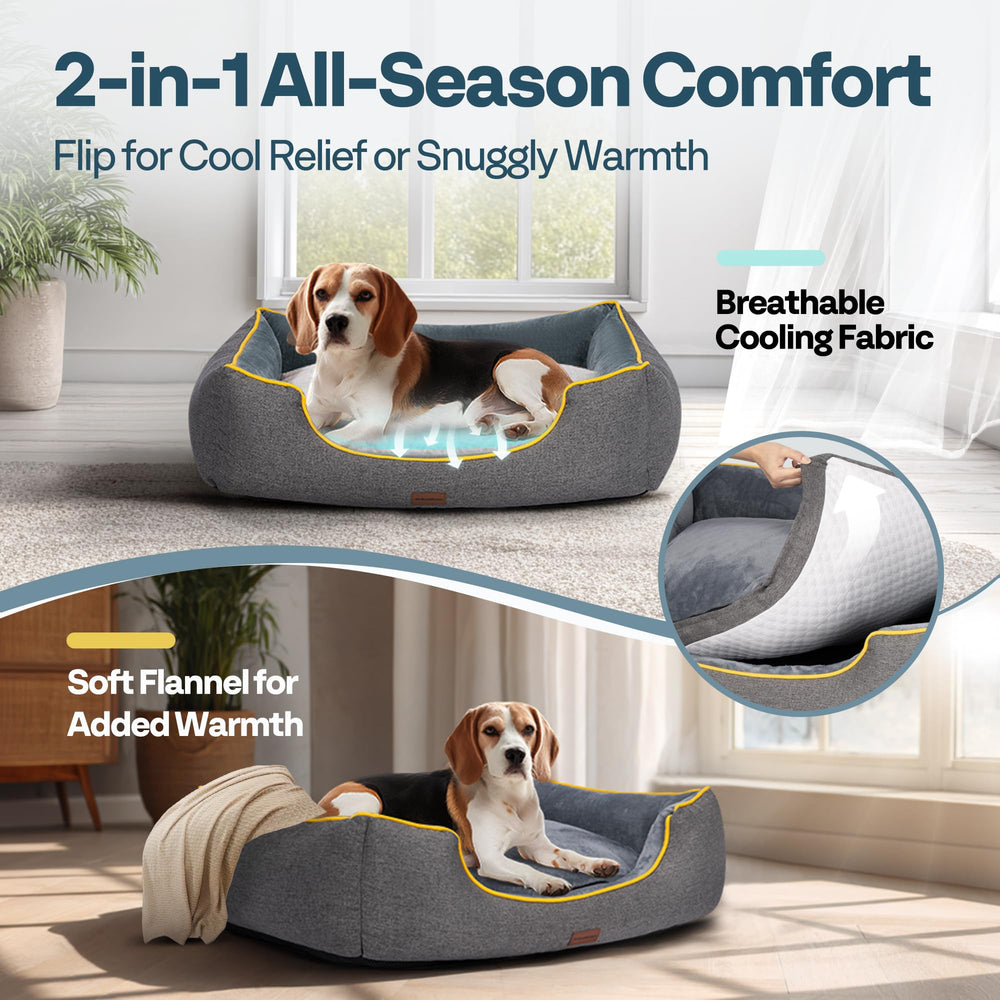 MellowMates bed low-entry design eases senior dog access
