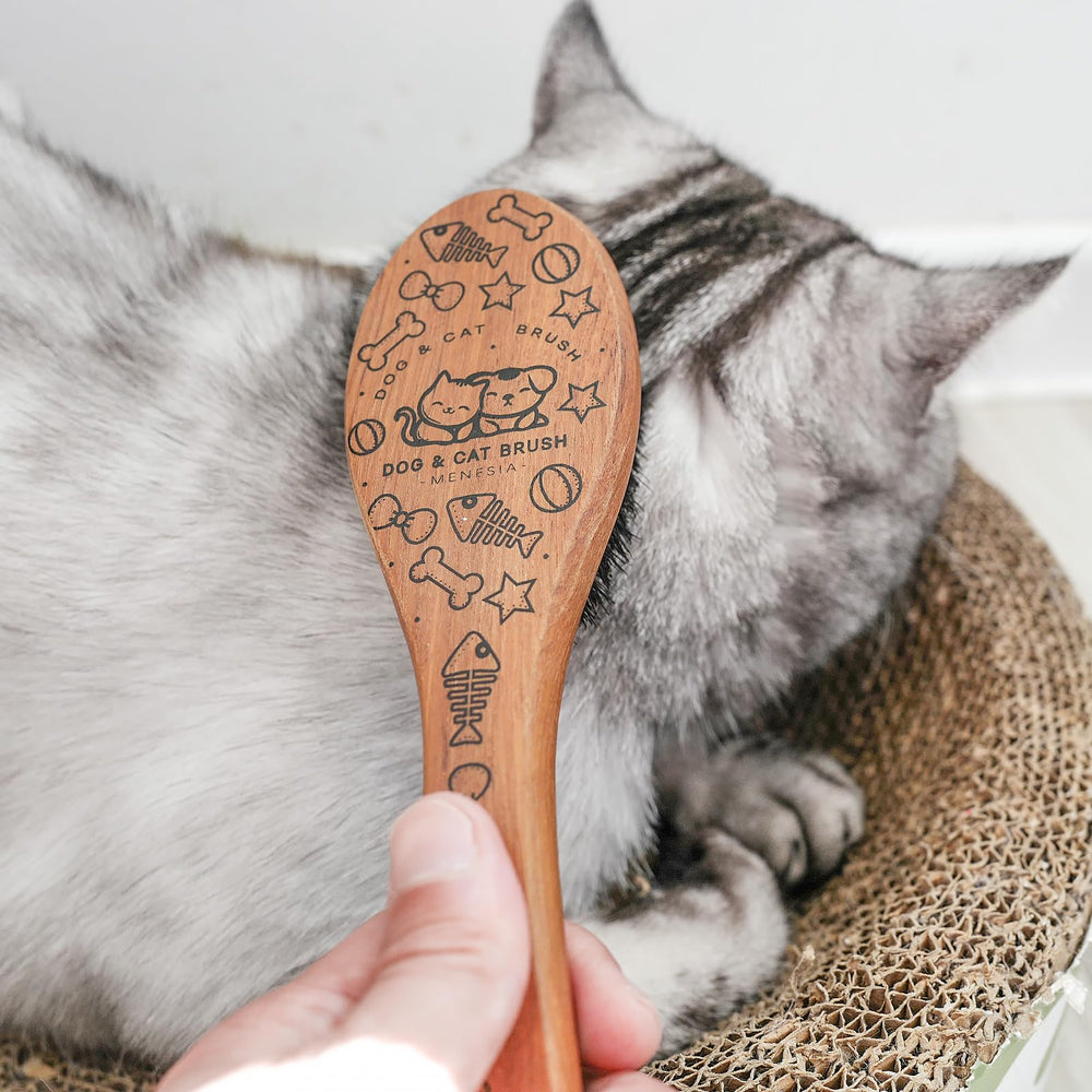 Menesia Pet Soft Brush dimensions show compact size for easy handling.
