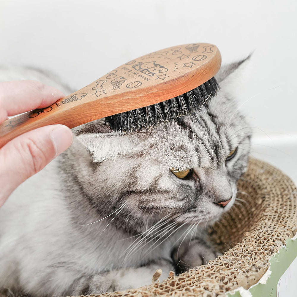 Menesia Wood-Handle Brush packaging displayed for tidy grooming setup.