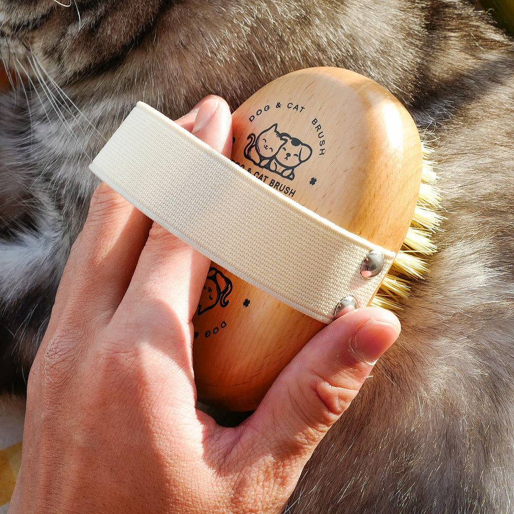 Menesia Soft Dog Brush coat shine demo reveals healthier-looking coats