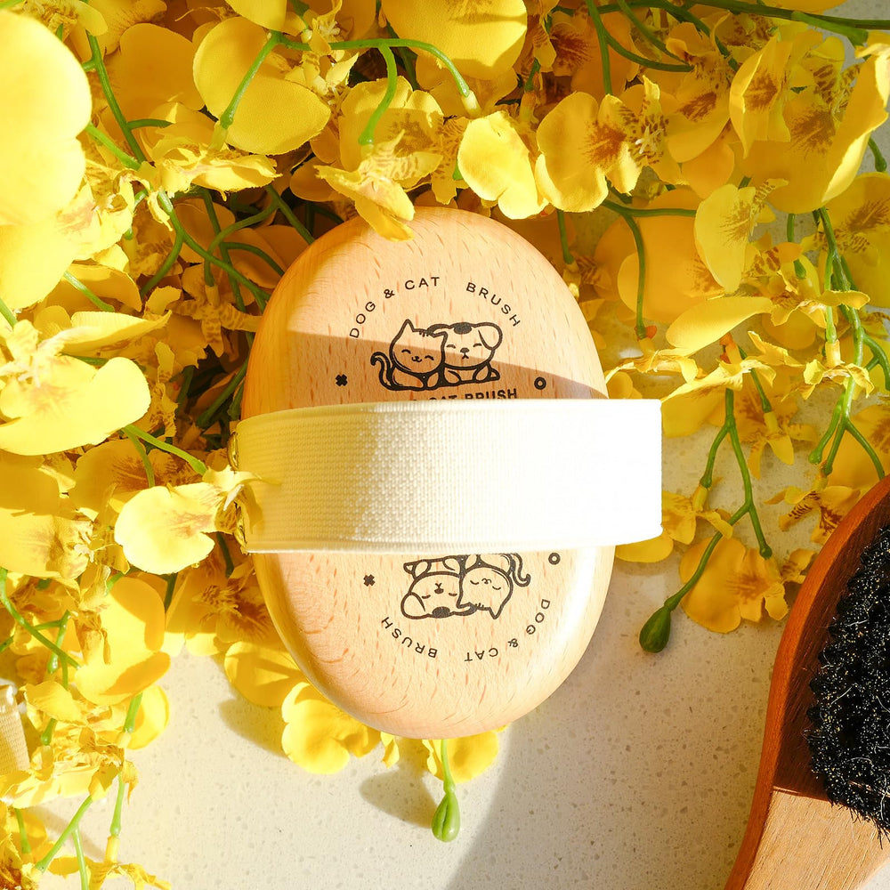 Menesia Soft Dog Brush grooming massage moment suggests spa-like relaxation