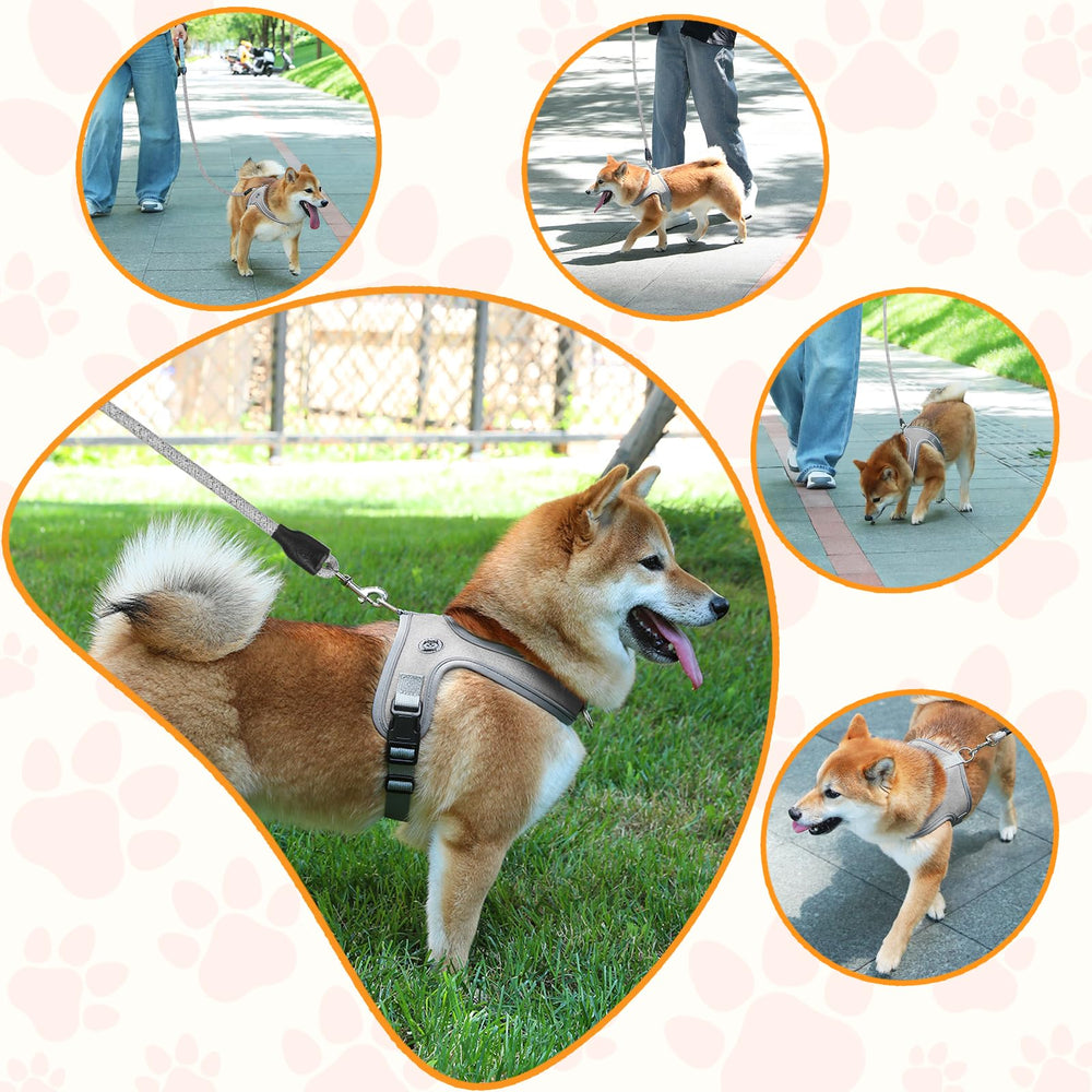 Mengbei Tribe dog wearing harness illustrates quick on-off design.