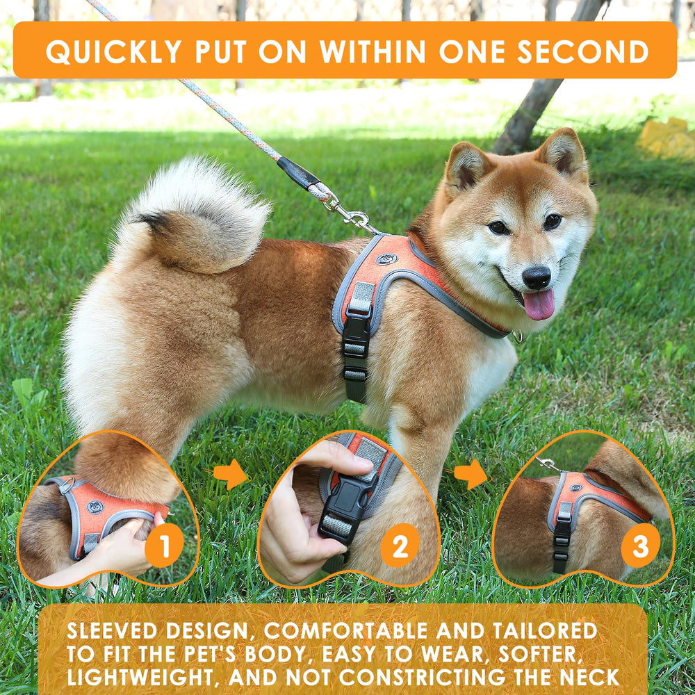 Mengbei Tribe harness with reflective edging improves visibility at dusk.