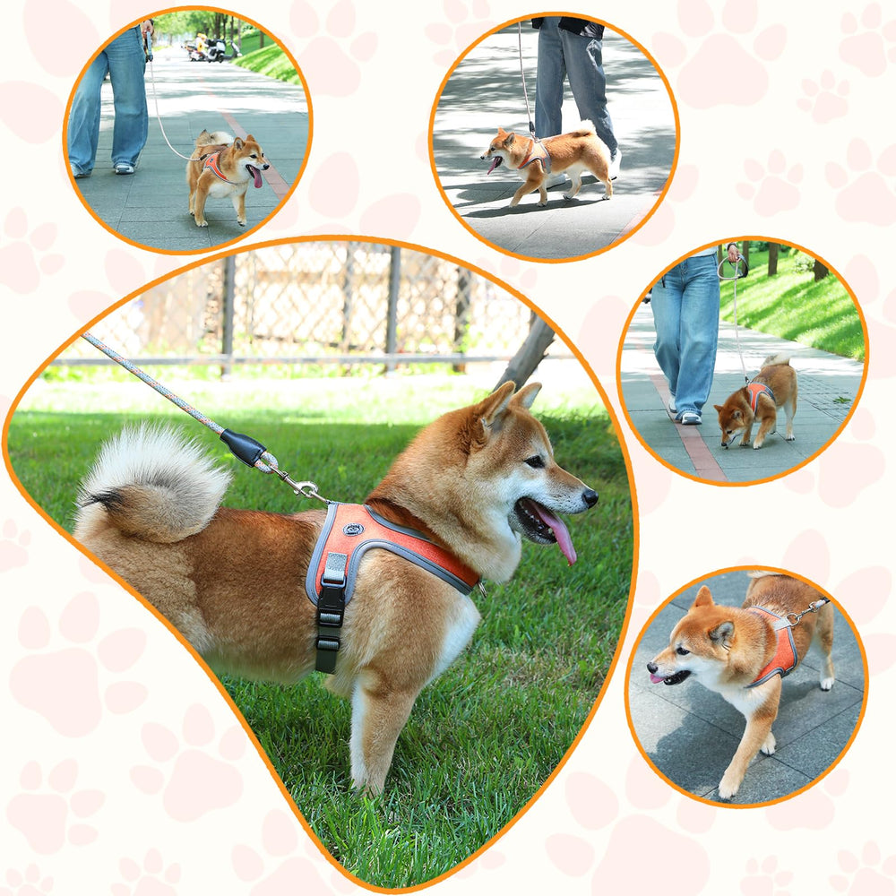 Mengbei Tribe dog harness and leash set ready for everyday strolls.