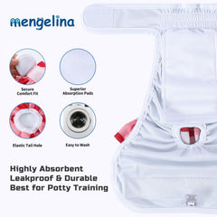 Mengelina absorbent layers show leak protection and comfort