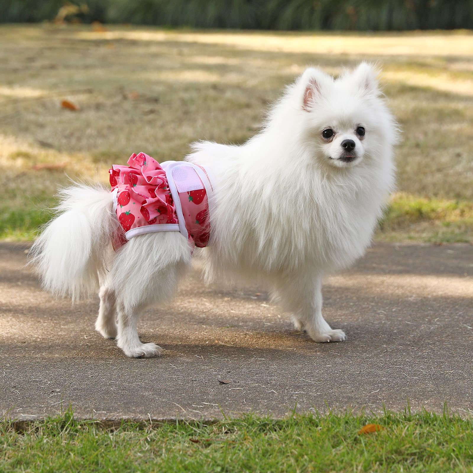 Mengelina diaper skirt design demonstrates fashionable daily wear