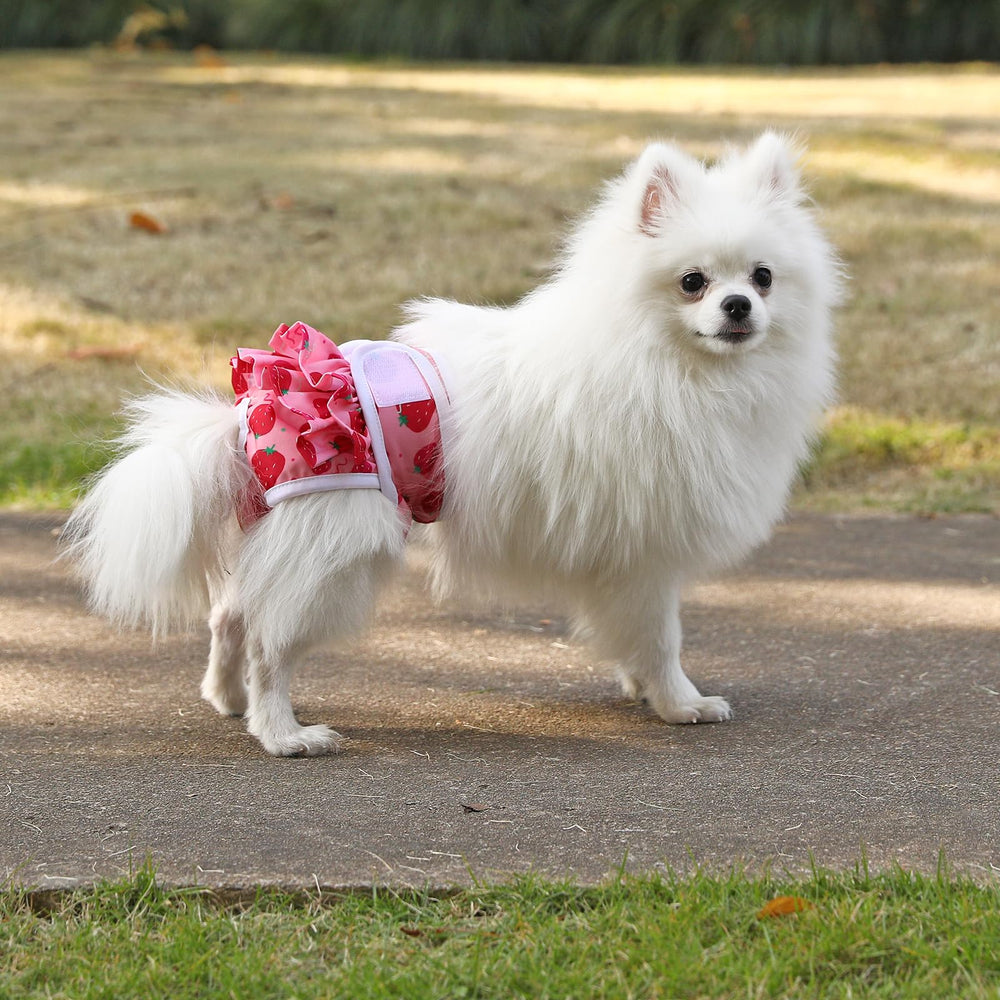 Mengelina diaper skirt design demonstrates fashionable daily wear