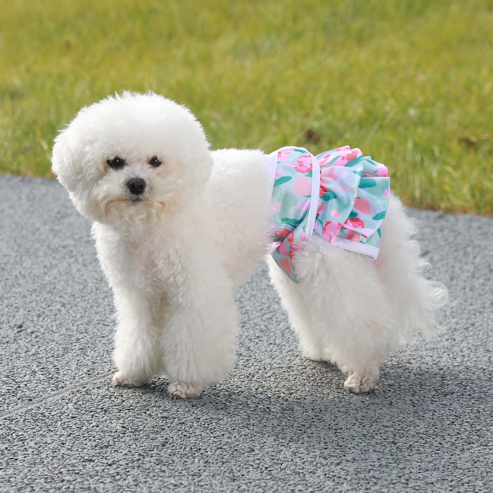 Mengelina dog diapers tail-hole design emphasizes comfort and easy on-off for pets.