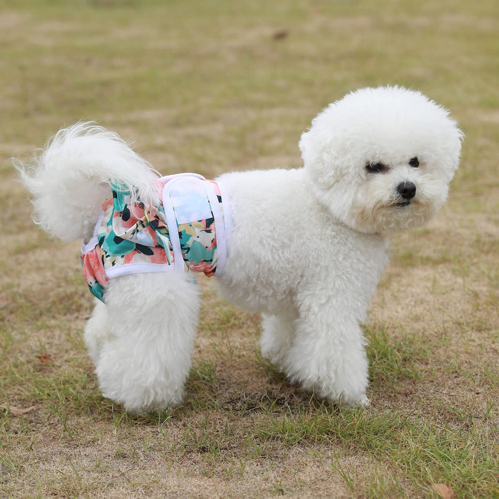 Mengelina dog diapers training image conveys potty training support and reduced accidents.