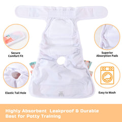 Mengelina washable dog diapers female leak proof core demonstrates secure containment during heat.