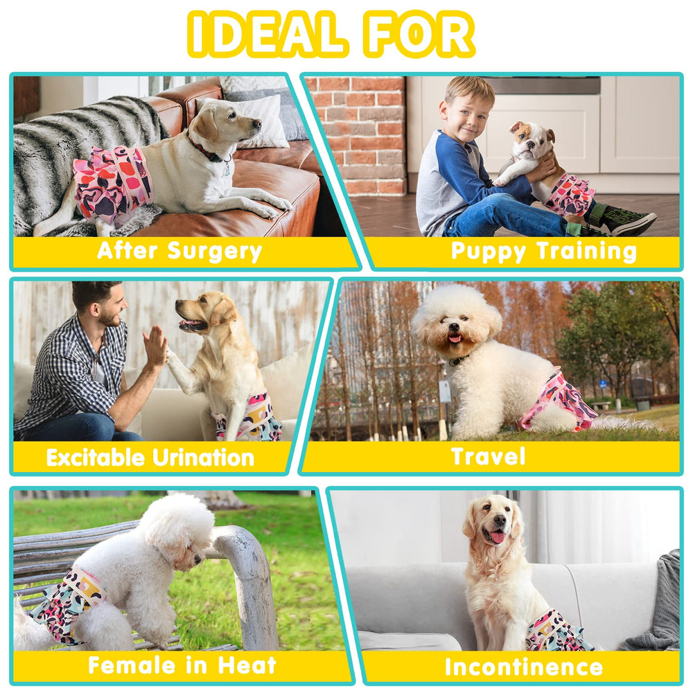 Mengelina reusable-care image highlights eco-friendly, economical dog care