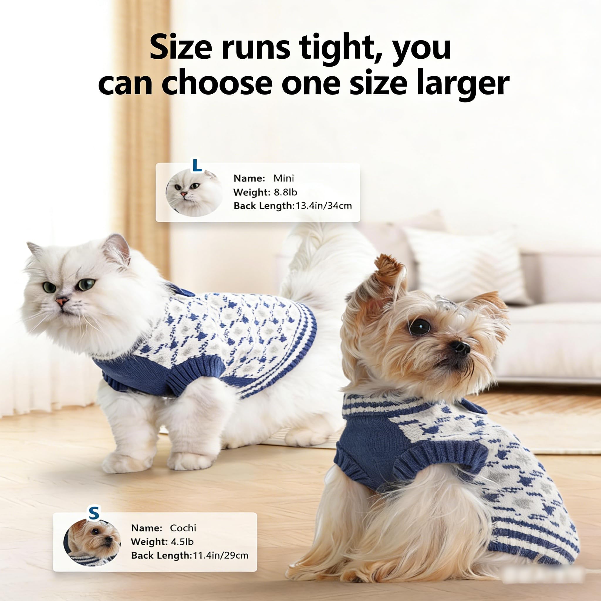 MengMengDa holiday-ready packaging makes a thoughtful gift for pet lovers.