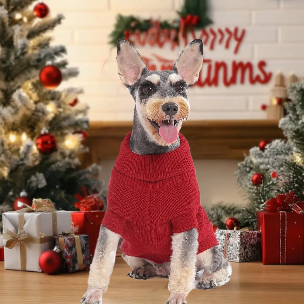MengMengDa sweater worn on walks supports warmth and easy dressing.