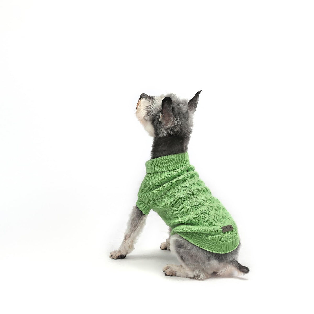 MengMengDa dog pullover sweater green front view highlighting warm turtleneck.