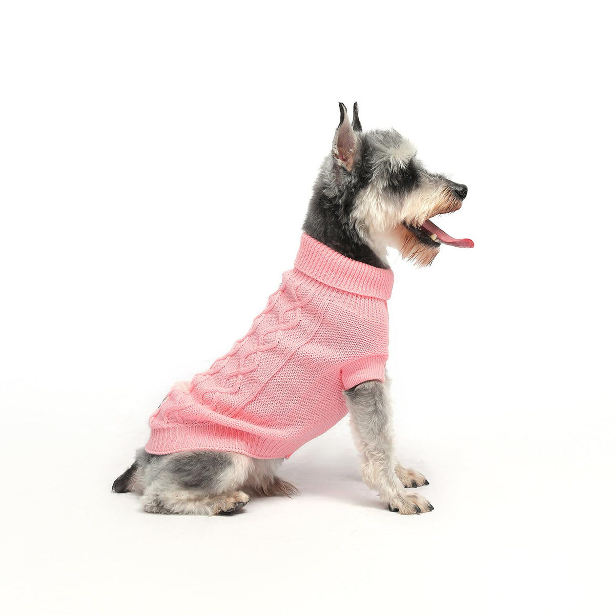 MengMengDa small dog warm sweater pink S model wearing for cozy winter walks.