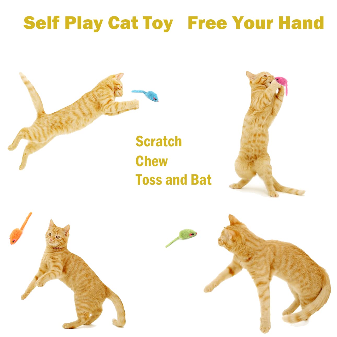 MeoHui indoor play fetch toy supports active entertainment for indoors.