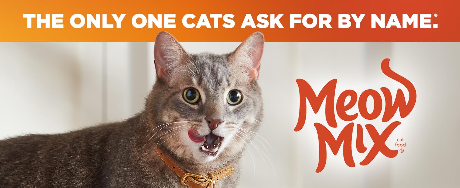 Meow Mix Irresistibles cat enjoys a flavorful reward with soft chicken treats.