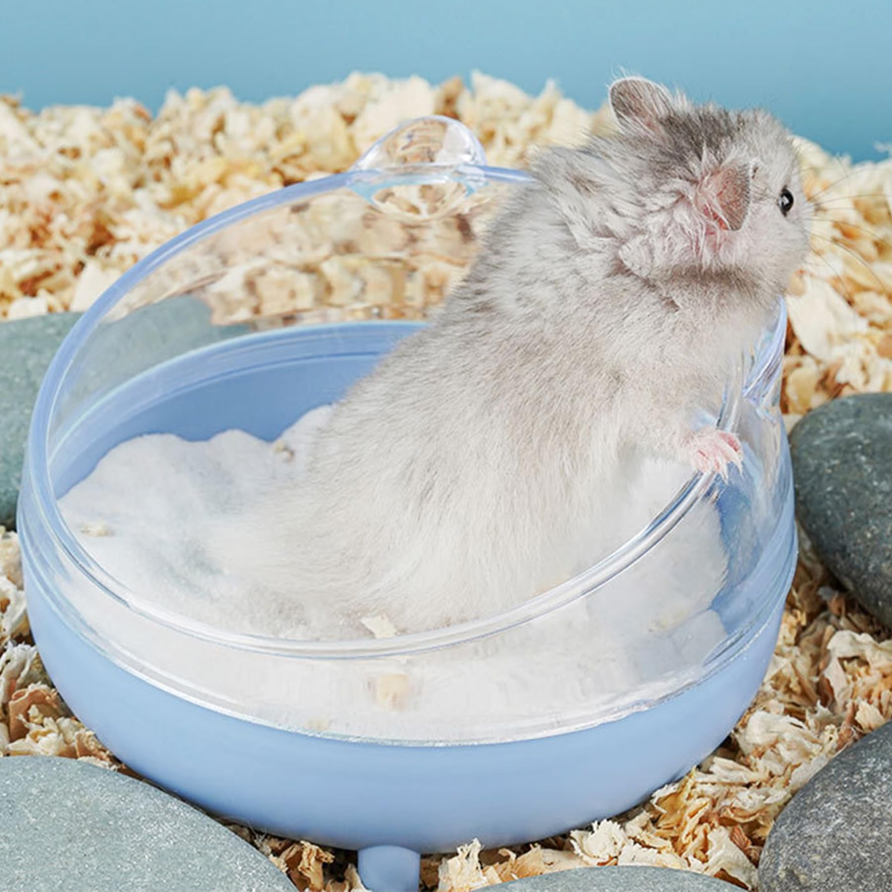 Meow&Woof hamster sand bath blue sifter enables quick cleanup between sessions