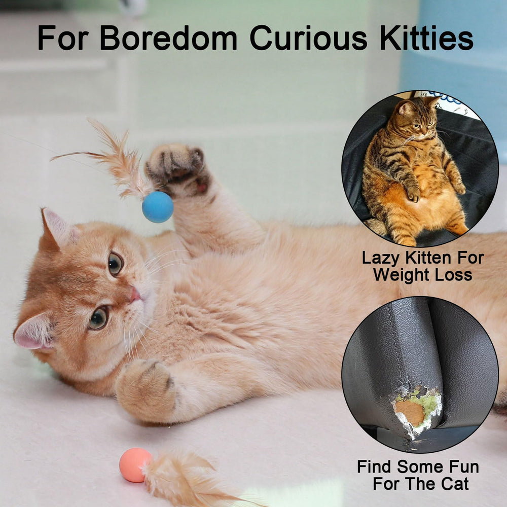 MeowAroma rubber kitten ball with feathers, durable bounce for playful training sessions