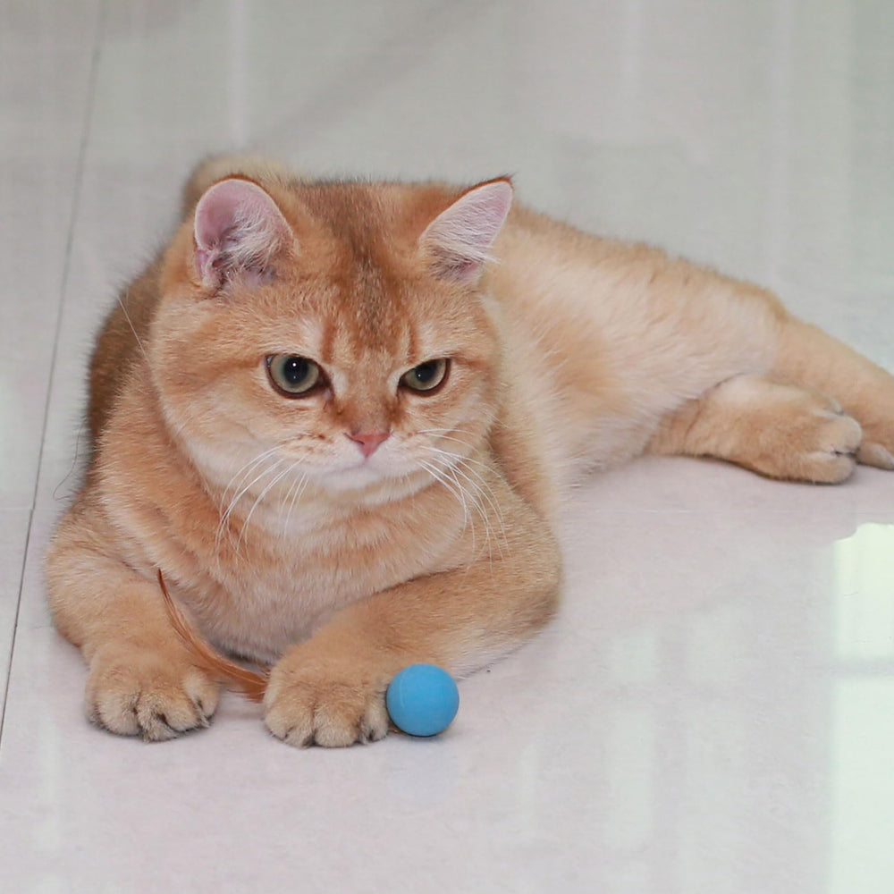 MeowAroma bright-colored cat ball attracts attention and encourages activity