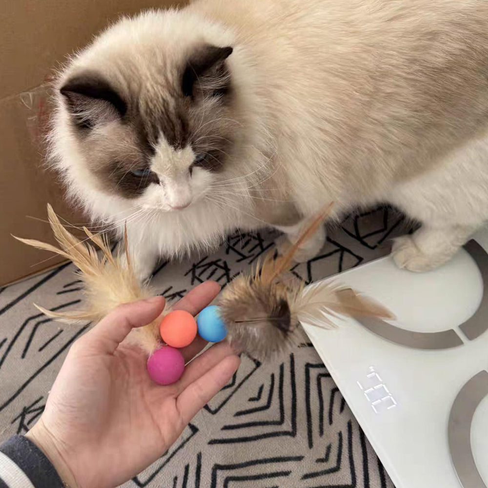 MeowAroma 1-inch diameter bouncy ball fits easily in a bag for travel play