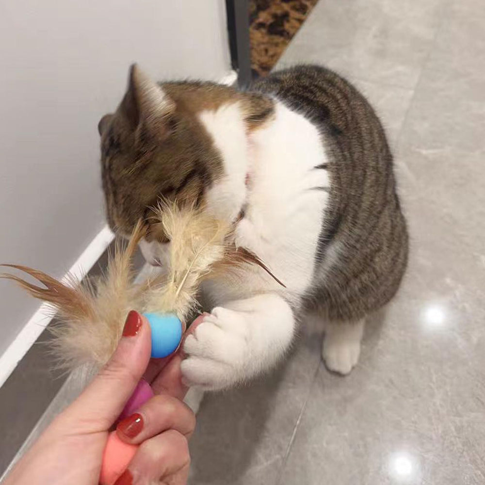 MeowAroma feathered rubber toy ball for chasing, jumping, and hunting exercise