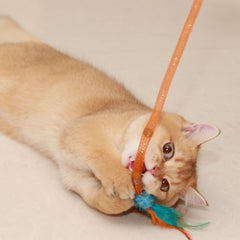 MeowAroma bell and catnip inside draw chasing and sniffing interest.