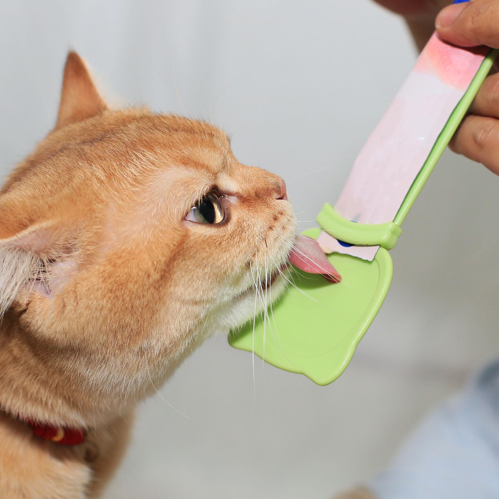 MeowAroma compact kitchen pet feeder fits busy households.