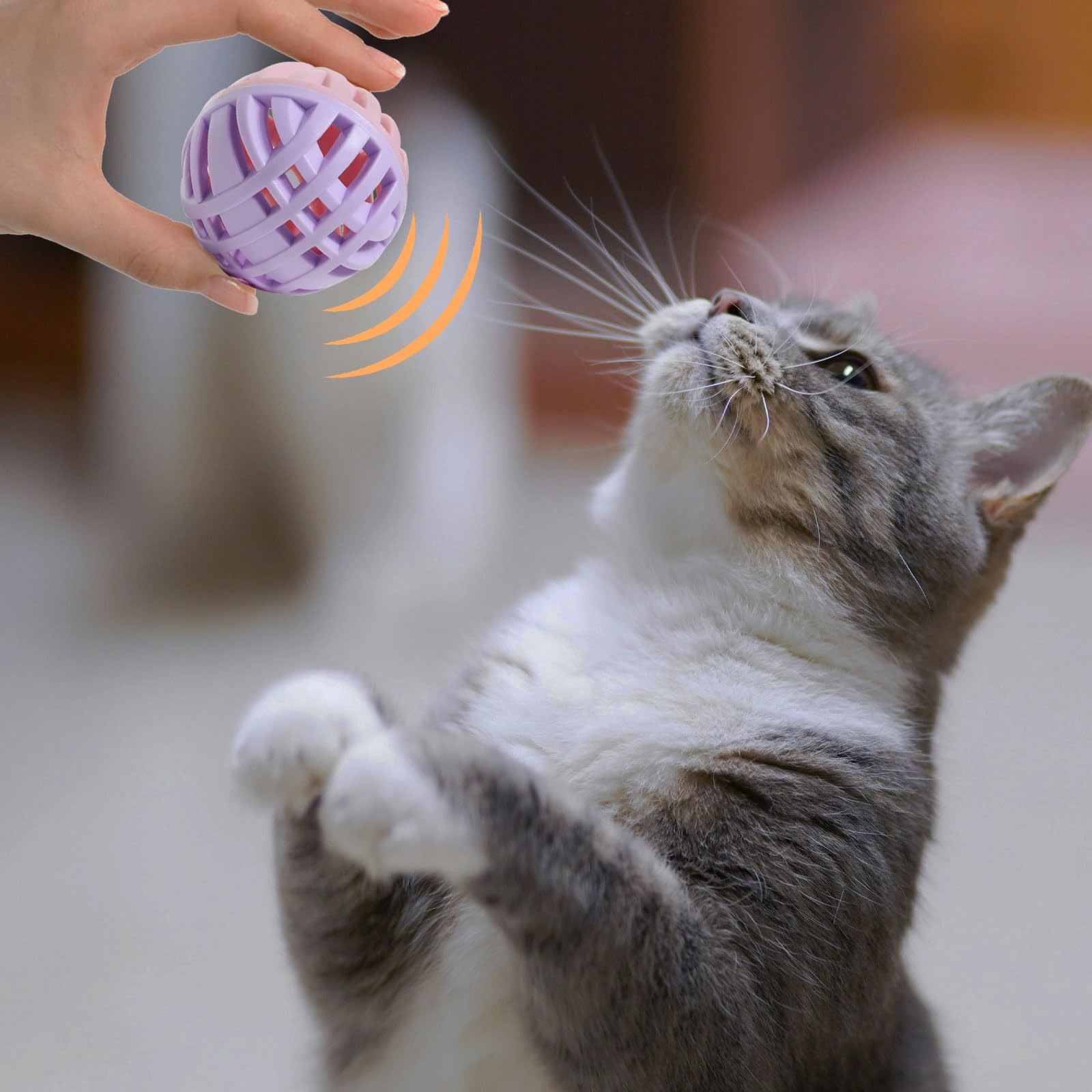 MeowAroma bouncing ball adds extra activity during playtime.