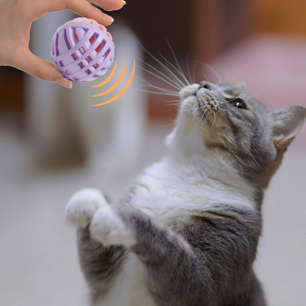 MeowAroma bouncing ball adds extra activity during playtime.