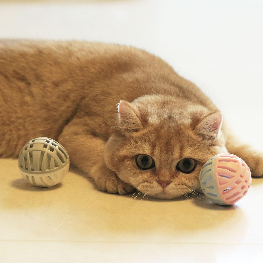 MeowAroma cat toy with built-in bell provides engaging rolling sounds.