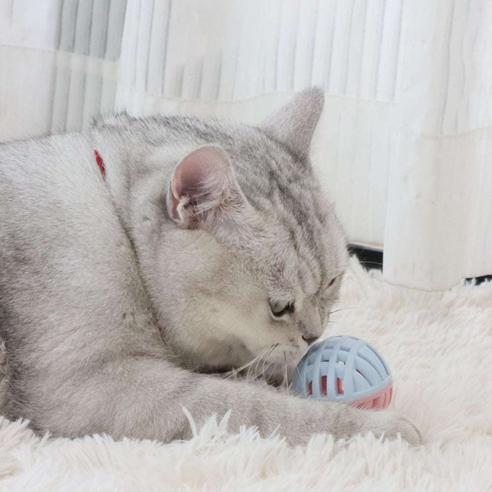 MeowAroma three-pack ideal for households with multiple pets.