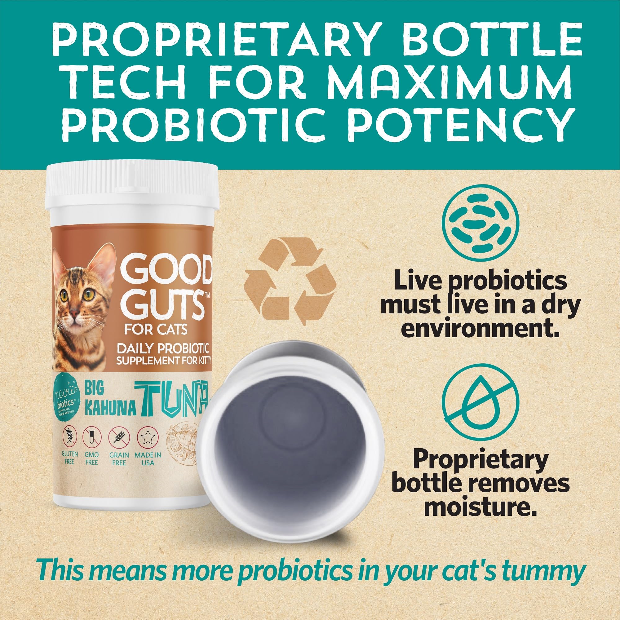 Meowbiotics Good Guts five enzymes aid nutrient digestion in cats.